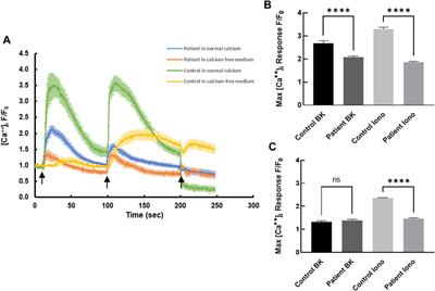 Wild-type S100A3 and S100A13 restore calcium homeostasis and mitigate mitochondrial dysregulation in pulmonary fibrosis patient-derived cells